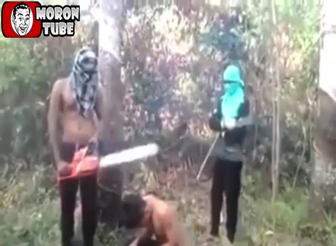 Video :A video that is more than cruel!
